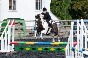 Class 4 - Fences 2'3 to 2'6